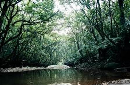 São Tomé das Letras (MG)